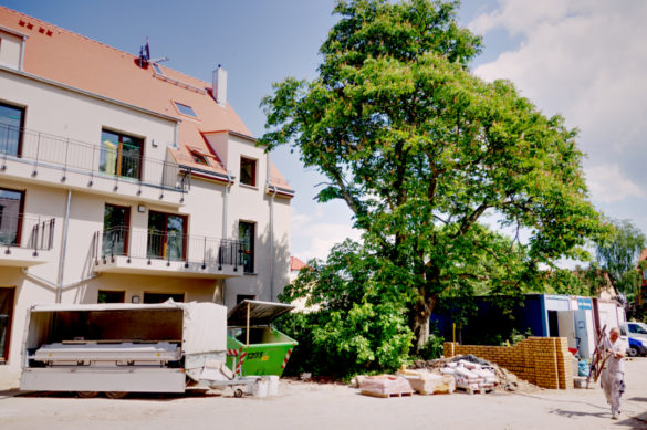 Kastanienhof RechterFlügel2 IMG 9362 585x389
